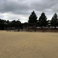 Cipriani Dog Park ico