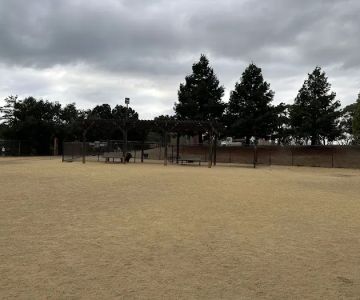 Cipriani Dog Park