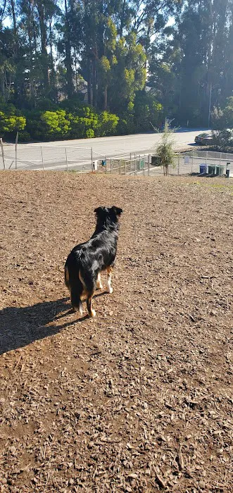 Skyline Park 2