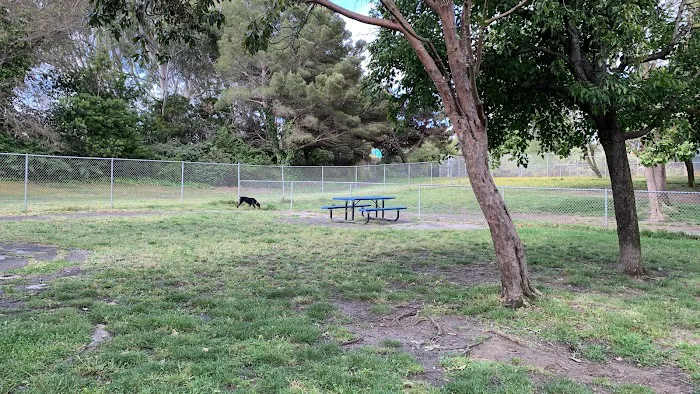 Commodore Dog Park 3