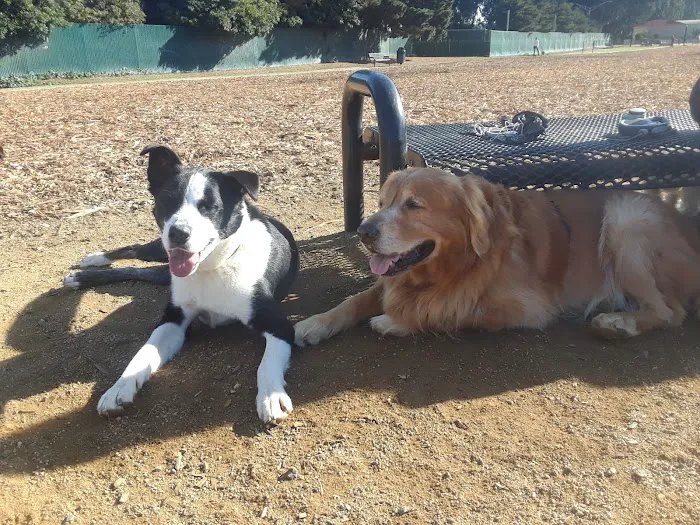 Centennial Dog Park 7