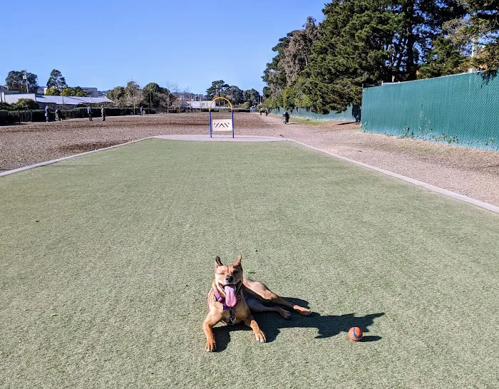 Centennial Dog Park 3