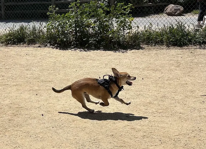 Centennial Dog Park 9