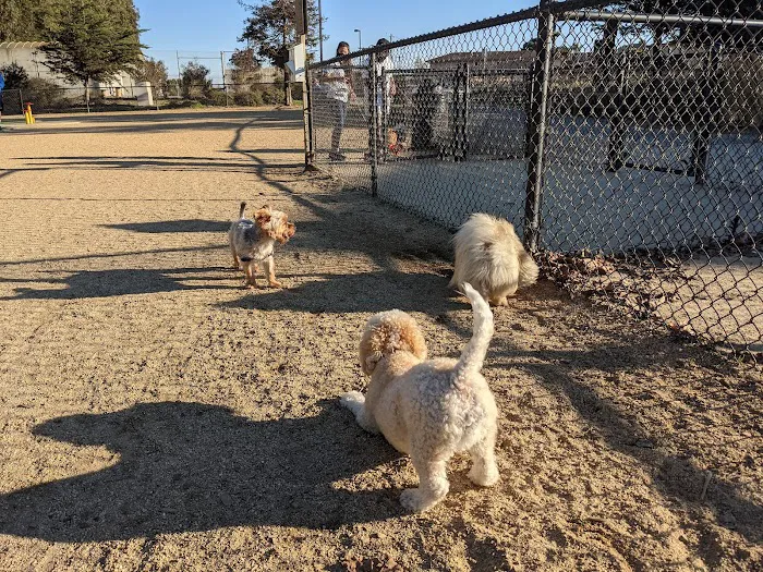 Centennial Dog Park 2