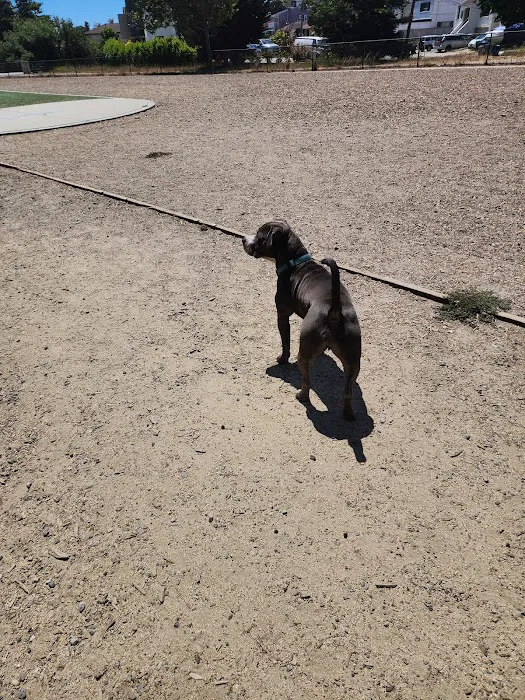 Centennial Dog Park 5