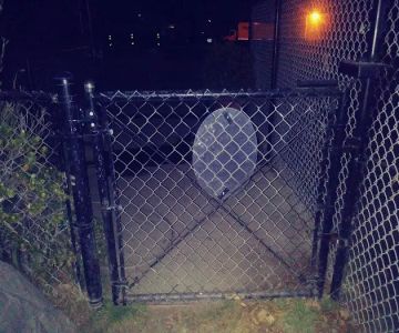 Brisbane Dog Park