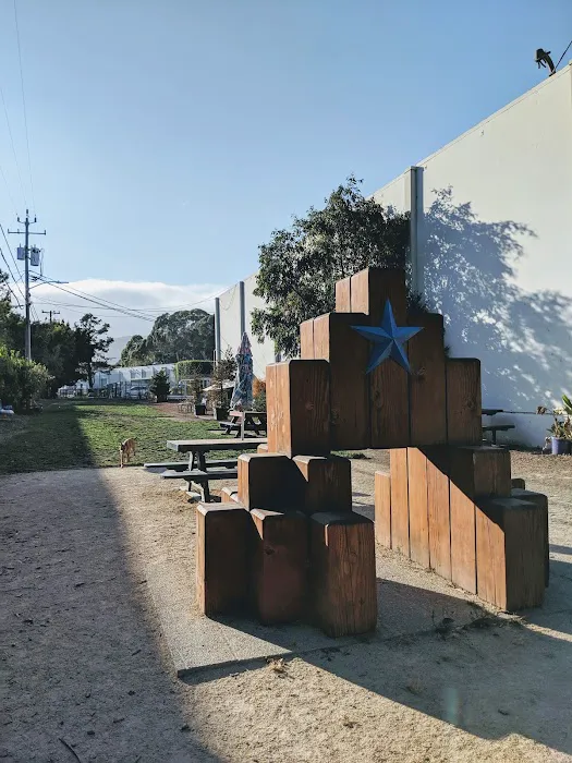 Brisbane Dog Park 4