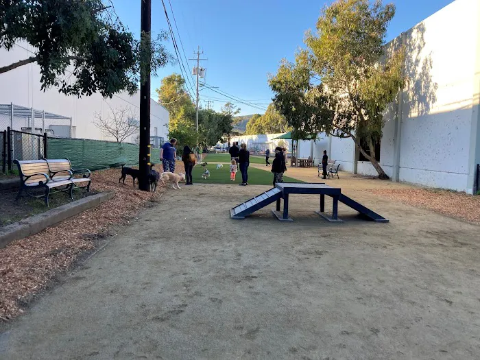 Brisbane Dog Park 6