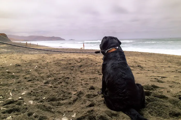 Pacifica Esplanade Beach 7