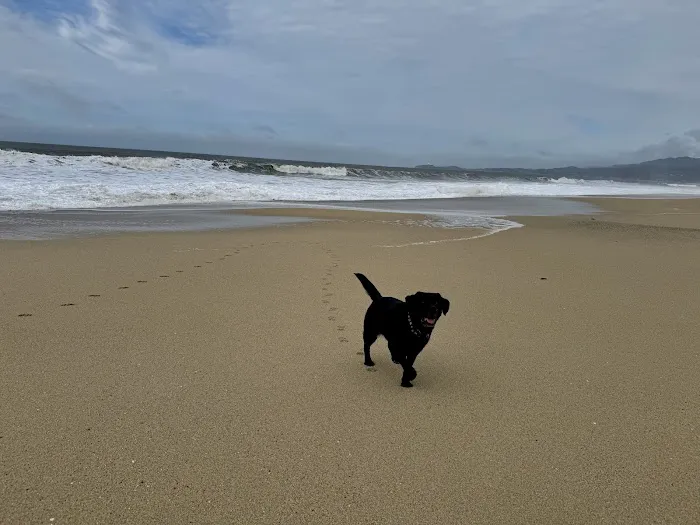 Half Moon Bay Dog Park 5