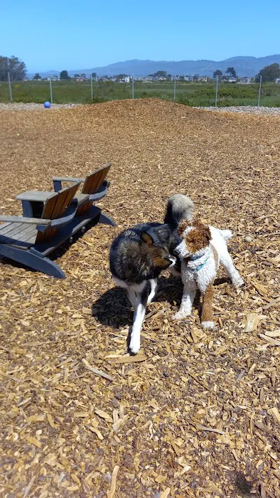 Half Moon Bay Dog Park 9