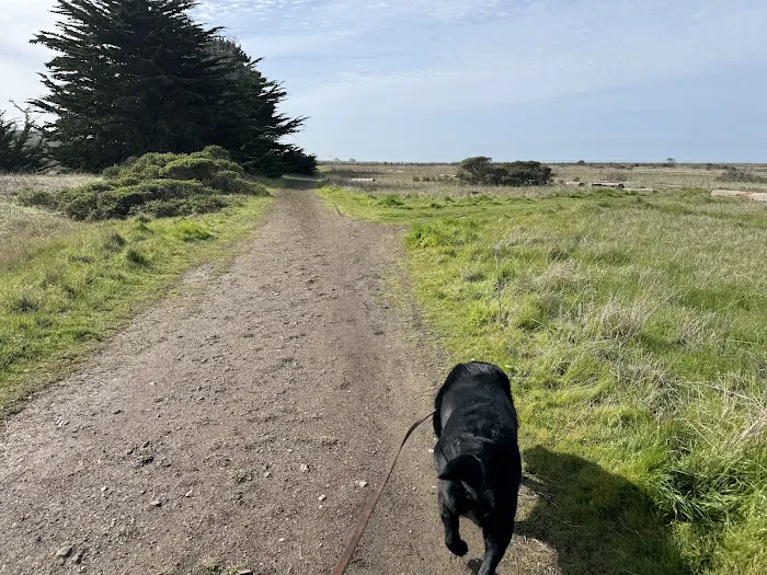 Half Moon Bay Dog Park 10