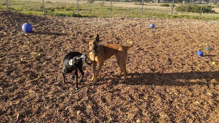 Half Moon Bay Dog Park 3