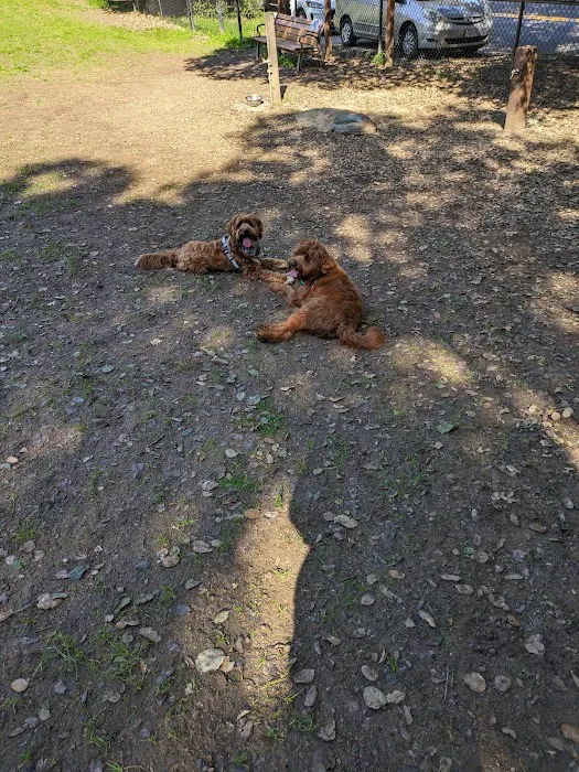 Los Altos Hills Dog Park 7
