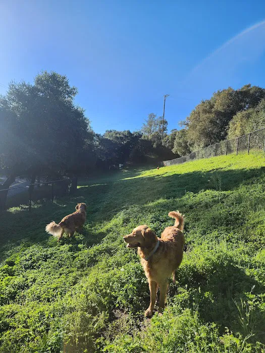 Los Altos Hills Dog Park 1