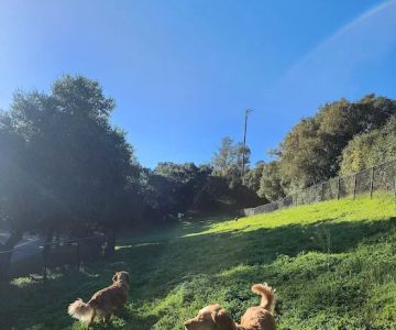 Los Altos Hills Dog Park