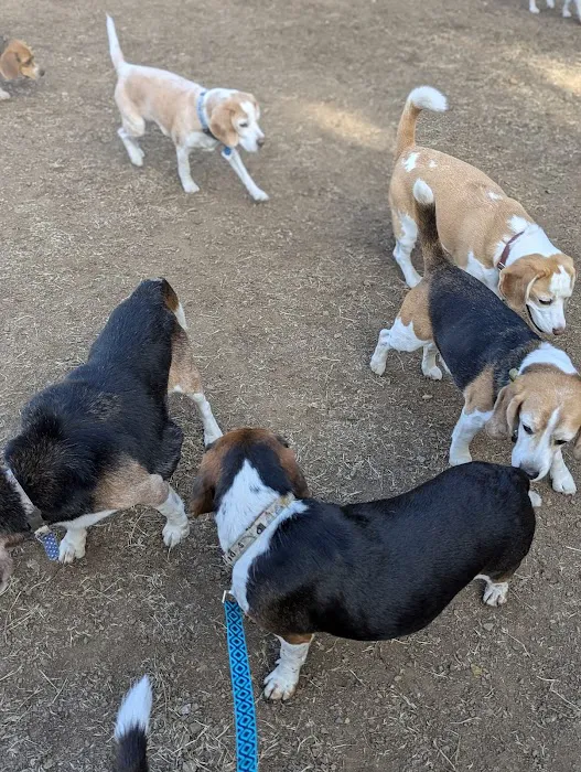 Los Altos Hills Dog Park 6