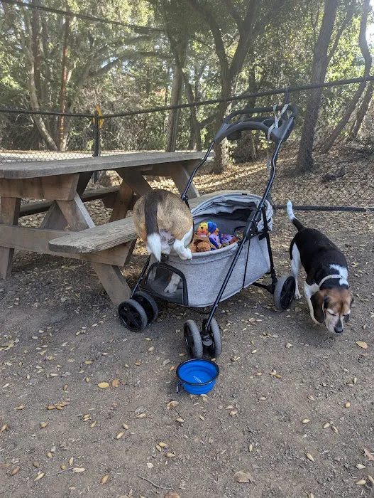 Los Altos Hills Dog Park 4
