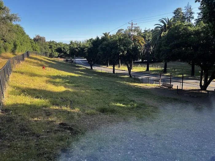 Los Altos Hills Dog Park 9