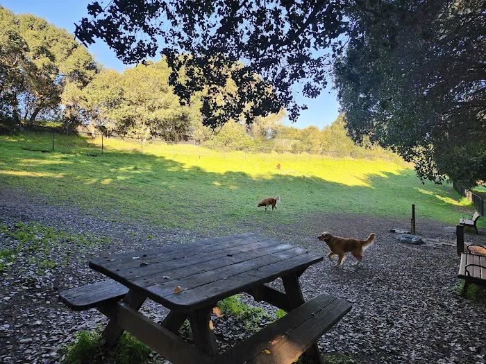 Los Altos Hills Dog Park 8