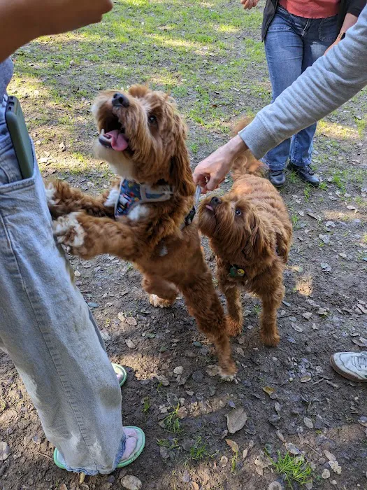 Los Altos Hills Dog Park 3