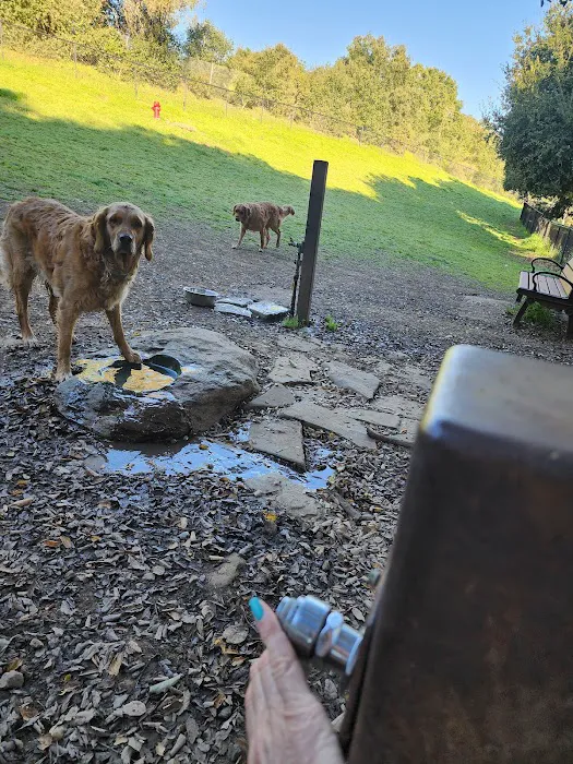 Los Altos Hills Dog Park 2