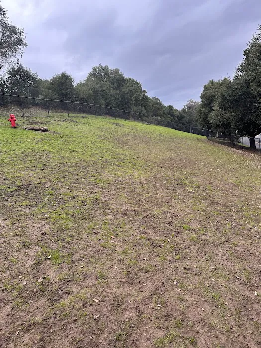 Los Altos Hills Dog Park 10