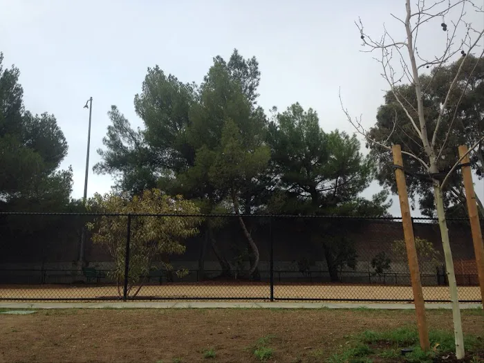 Mary Avenue Dog Park 4