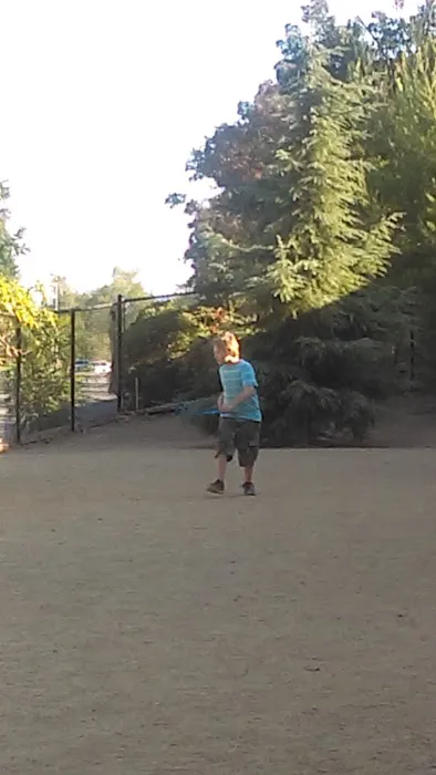 Mary Avenue Dog Park 8