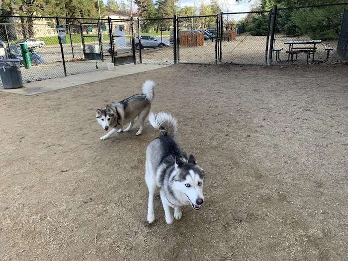 Mary Avenue Dog Park 7