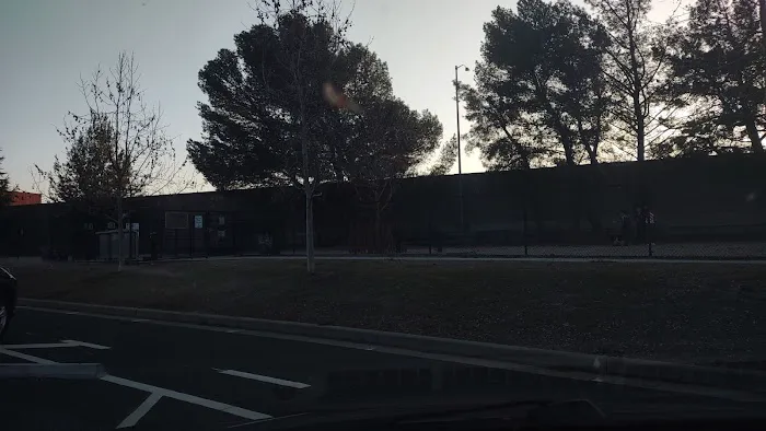 Mary Avenue Dog Park 5