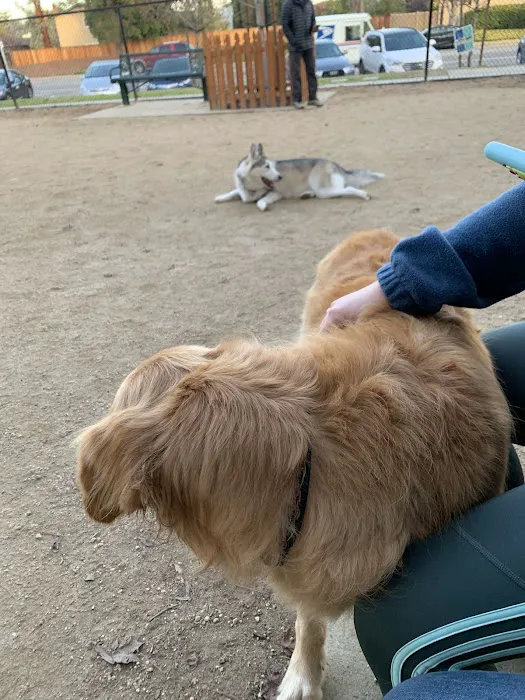 Mary Avenue Dog Park 3