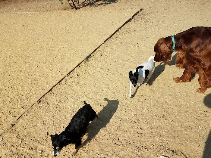 Mary Avenue Dog Park 1