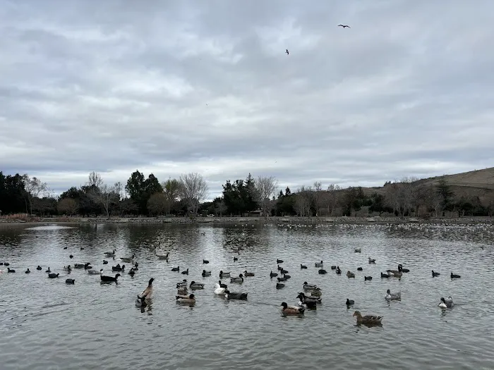Dog Park at Hellyer County Park 4