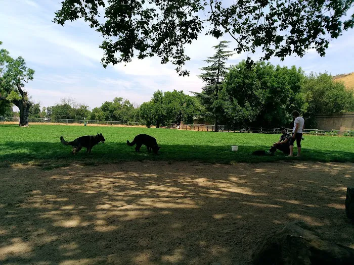 Dog Park at Hellyer County Park 5