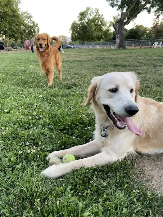Dog Park at Hellyer County Park 8