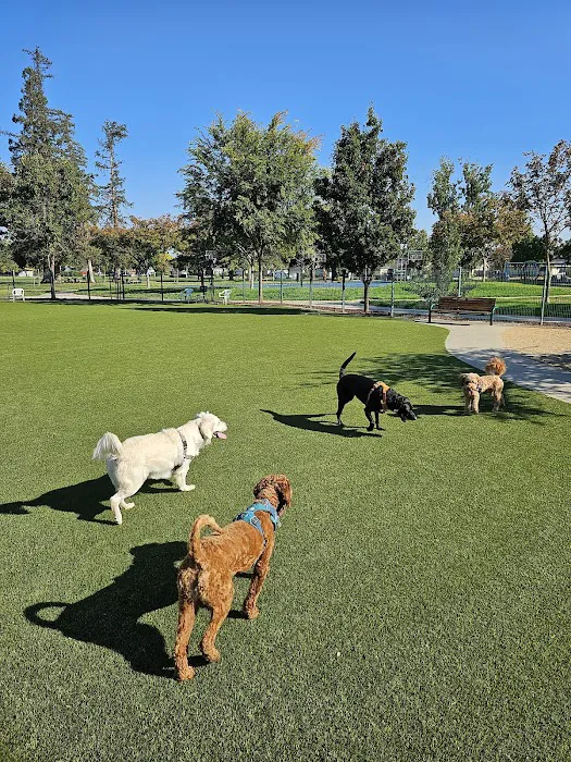 Butcher Dog Park 5