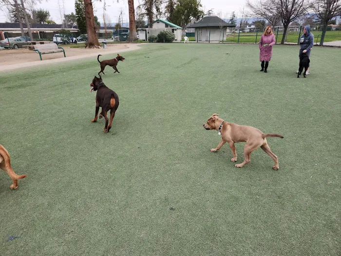 Butcher Dog Park 3