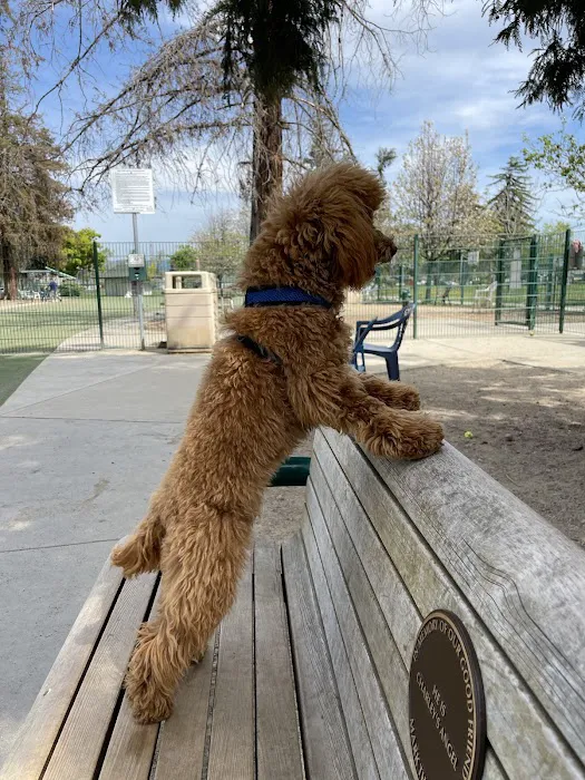 Butcher Dog Park 1