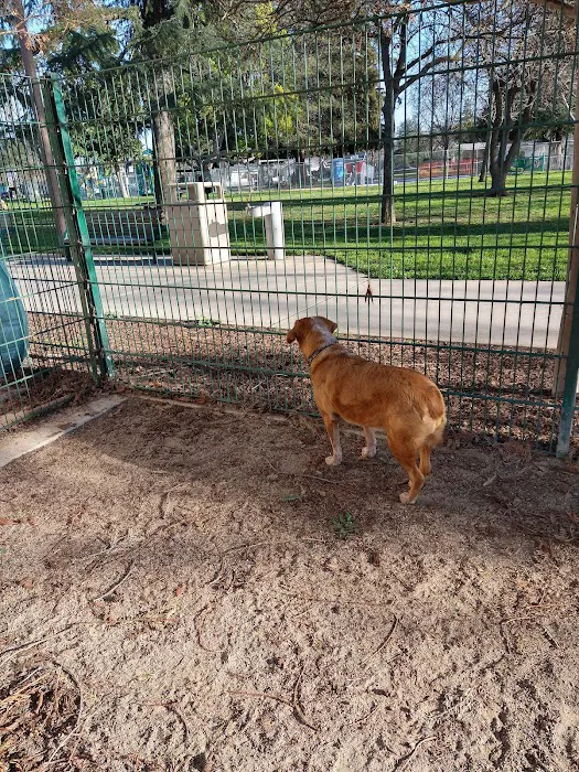 Butcher Dog Park 6