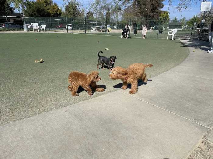 Butcher Dog Park 2