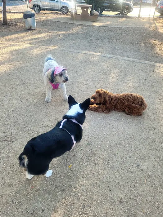 Butcher Dog Park 4