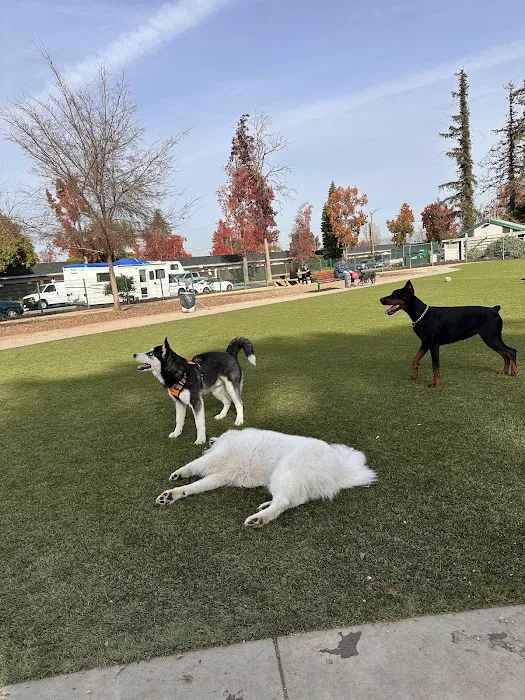 Butcher Dog Park 8
