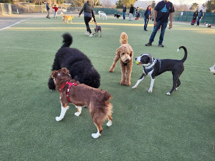 Dog Park | Los Gatos Creek 9