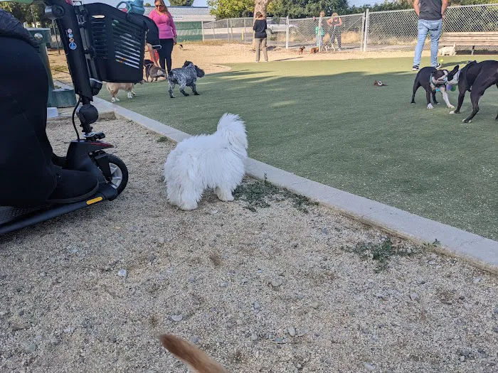 Dog Park | Los Gatos Creek 7