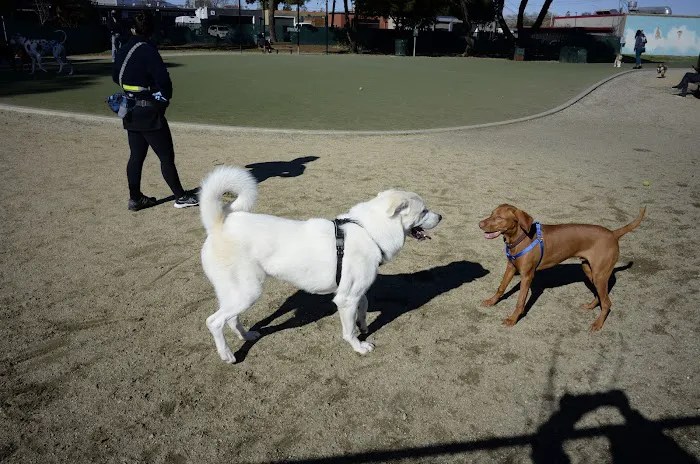 Dog Park | Los Gatos Creek 1
