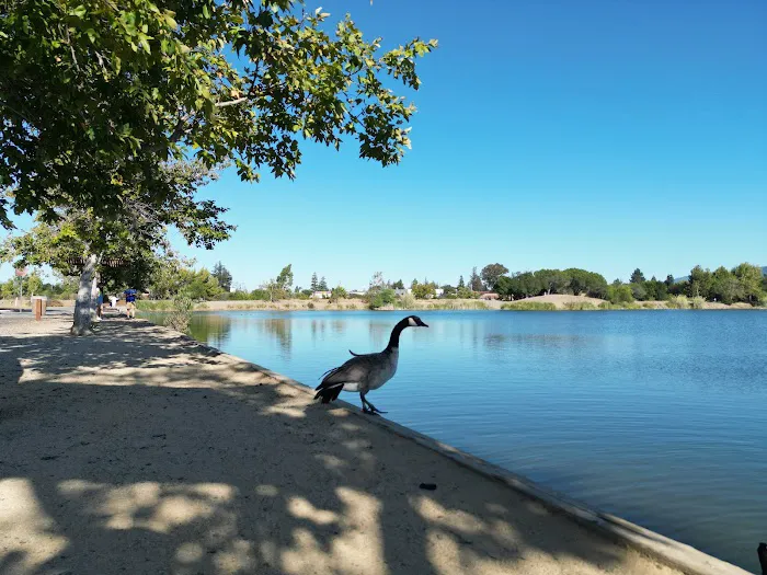 Dog Park | Los Gatos Creek 6