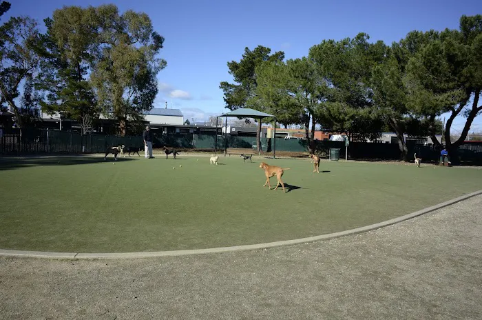 Dog Park | Los Gatos Creek 2