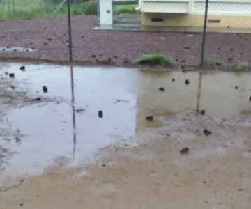 Miyuki Dog Park
