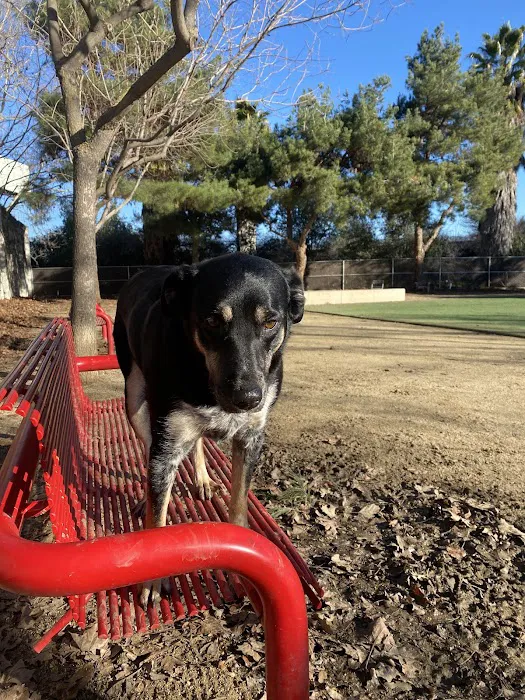Miyuki Dog Park 5